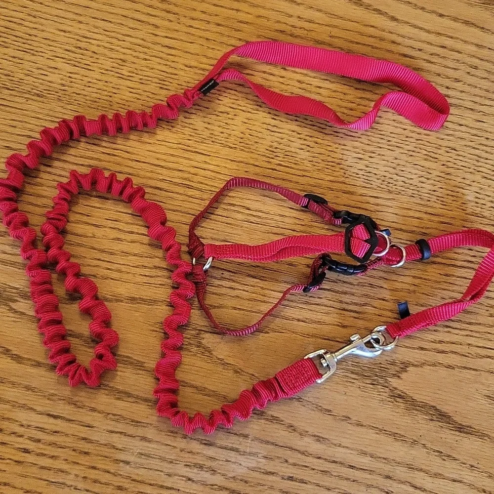 NWOT Premier Come with me Kitty harness and bungee leash set. RED
